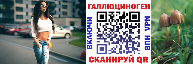 где можно купить наркотик  Ялуторовск  Галлюциногенные грибы мицелий 