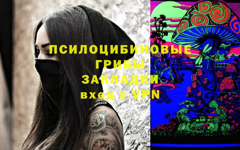 где найти   OMG ONION  Галлюциногенные грибы Cubensis  Ялуторовск 