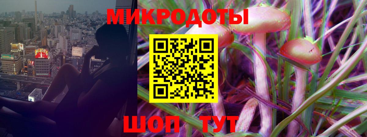 Галлюциногенные грибы Psilocybe Ялуторовск